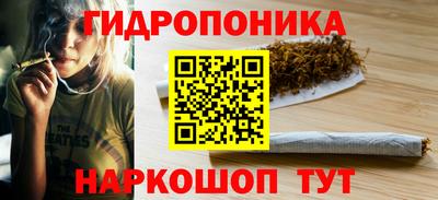 стафф Тула