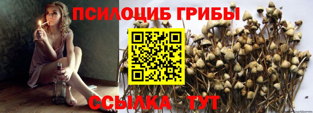 Галлюциногенные грибы MAGIC MUSHROOMS  Вход с VPN  Михайловка  Псилоцибиновые грибы GOLDEN TEACHER 